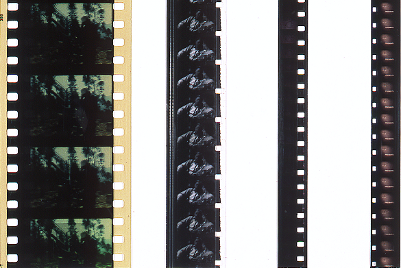 Various film formats.