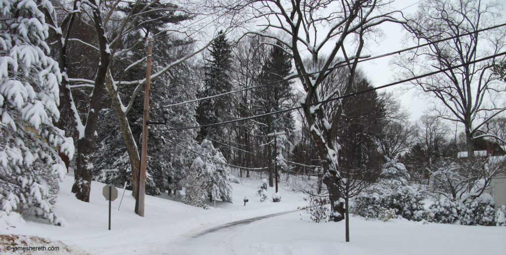 Winter snowfall in Manhasset, New York.